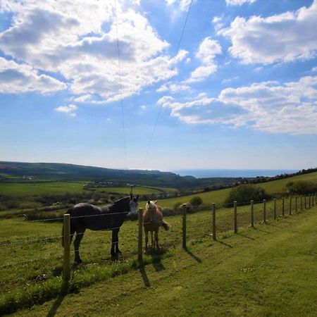 1 Bed In Boscastle Lpenc Villa Dış mekan fotoğraf